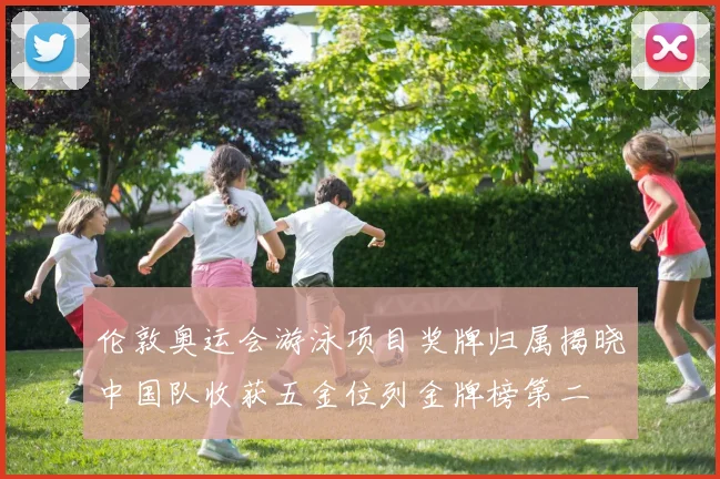 伦敦奥运会游泳项目奖牌归属揭晓中国队收获五金位列金牌榜第二