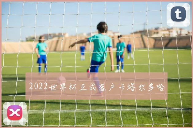 2022世界杯正式落户卡塔尔多哈