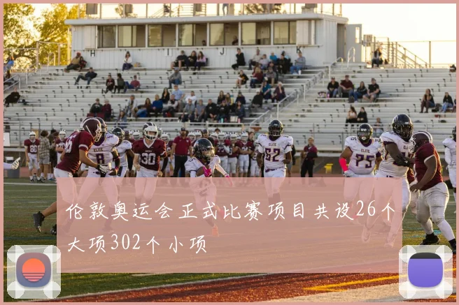 伦敦奥运会正式比赛项目共设26个大项302个小项