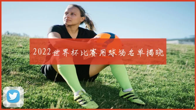 2022世界杯比赛用球场名单揭晓