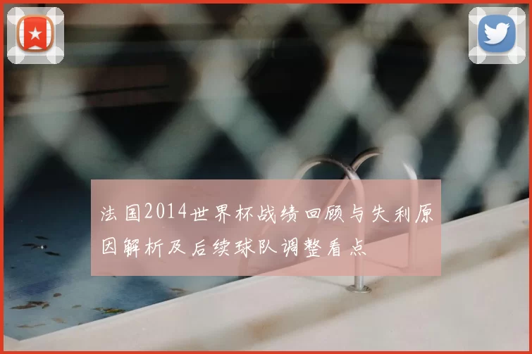 法国2014世界杯战绩回顾与失利原因解析及后续球队调整看点
