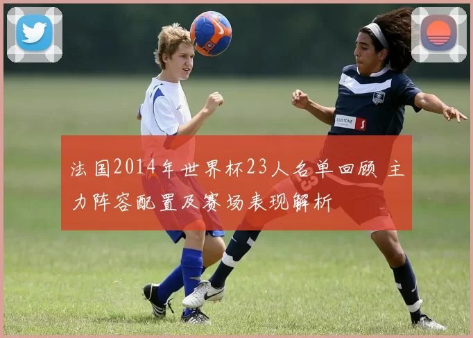 法国2014年世界杯23人名单回顾 主力阵容配置及赛场表现解析