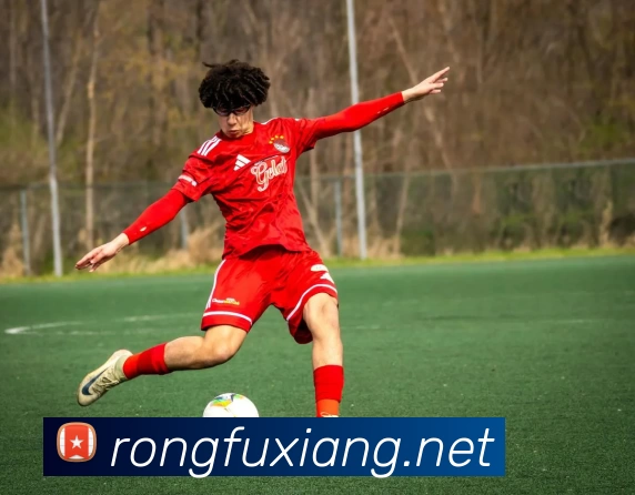 今年会在线登录官网入口 - 今年会(中国)平台生态图